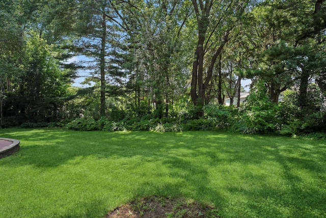 12940 Isanti St NE, Blaine, MN 55449 - photo 9