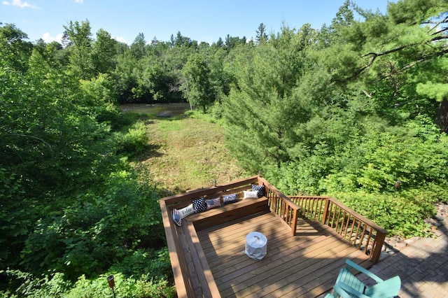 7460 Jordan Buck Trl, Danbury, WI 54830 - photo 63