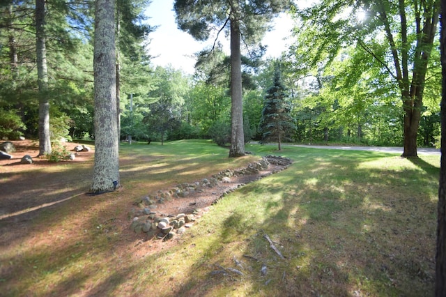 7460 Jordan Buck Trl, Danbury, WI 54830 - photo 73