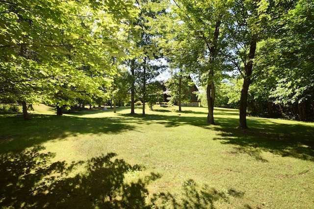 7460 Jordan Buck Trl, Danbury, WI 54830 - photo 74