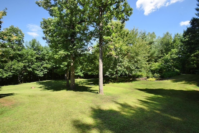 7460 Jordan Buck Trl, Danbury, WI 54830 - photo 75