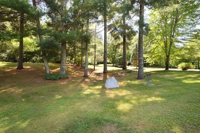 7460 Jordan Buck Trl, Danbury, WI 54830 - photo 76