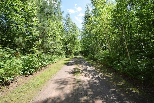 7460 Jordan Buck Trl, Danbury, WI 54830 - photo 78