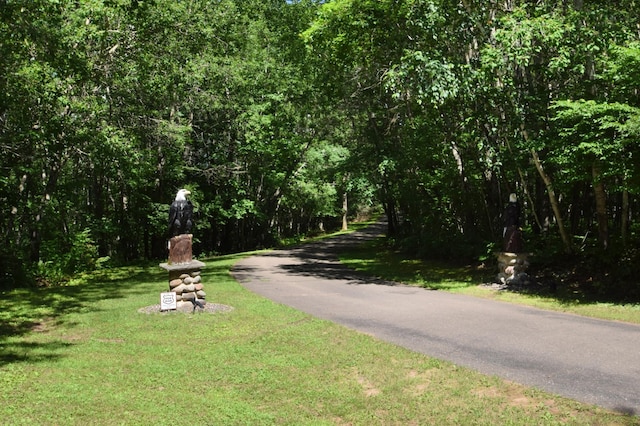 7460 Jordan Buck Trl, Danbury, WI 54830 - photo 80
