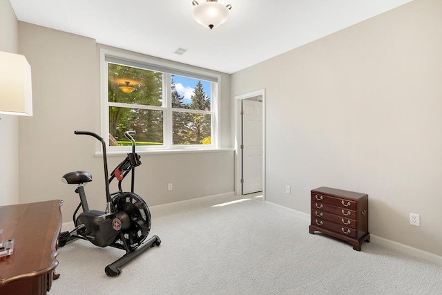 19300 Heitel Way, Prior Lake, MN 55372 - photo 44