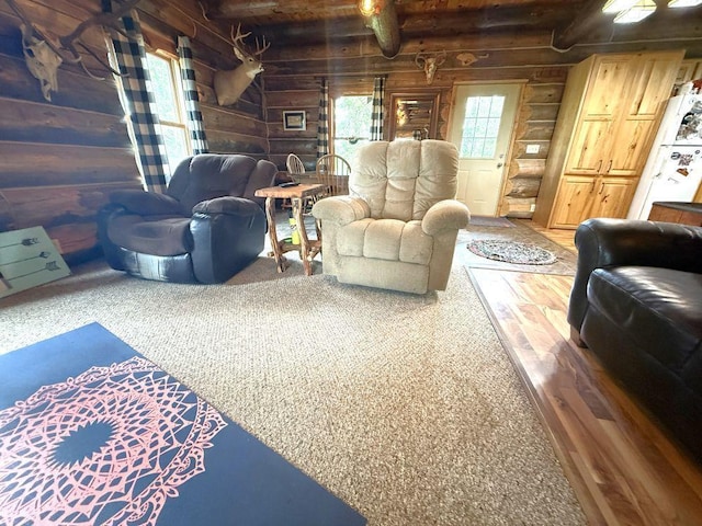 17231 330th Ave, Frazee, MN 56544 - photo 29