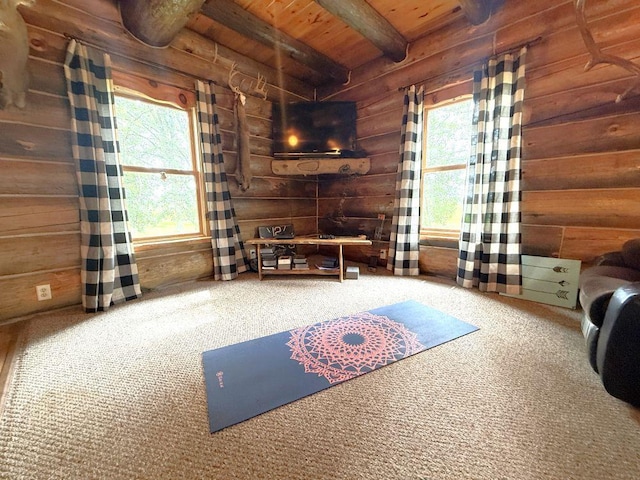 17231 330th Ave, Frazee, MN 56544 - photo 33