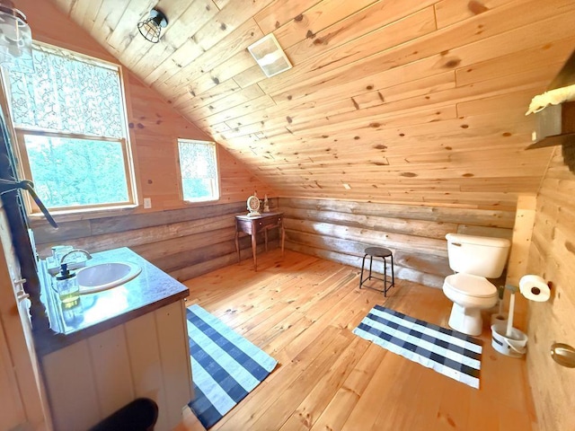17231 330th Ave, Frazee, MN 56544 - photo 38