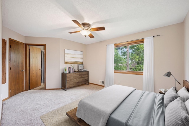 28510 142nd St NW, Baldwin Twp, MN 55398 - photo 10