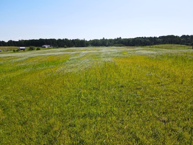 TractA State Highway 84 Sw, Pine River, MN 56474 - photo 2
