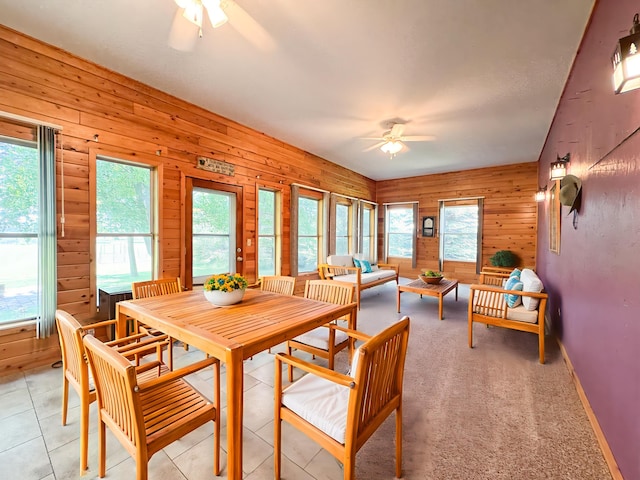 11271 Bankers Dr, Dalton, MN 56324 - photo 19