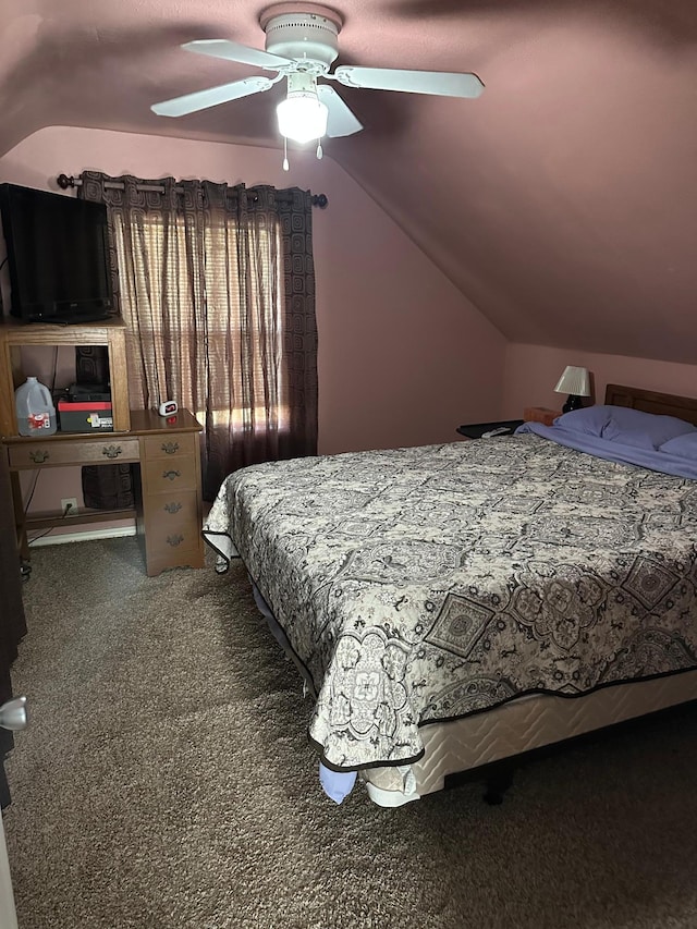 1126 Newton Ave, Albert Lea, MN 56007 - photo 10