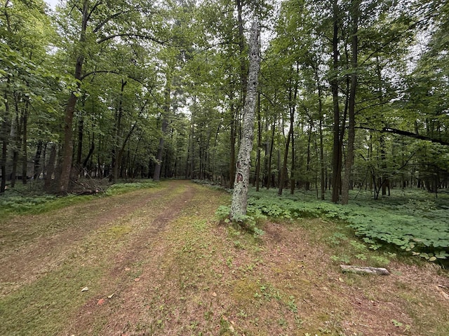 14677 Chokecherry Dr, Nevis, MN 56467 - photo 8