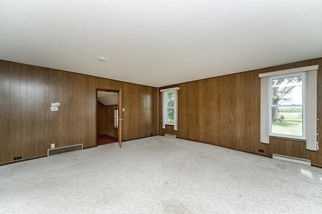 12927 585th St, Claremont Twp, MN 55924 - photo 23