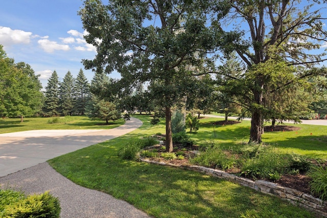 4301 Overlook Dr, Bloomington, MN 55437 - view of community with a lawn