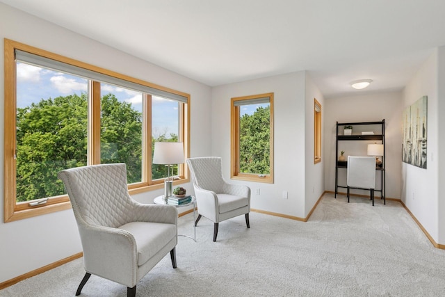 4301 Overlook Dr, Bloomington, MN 55437 - living area featuring carpet floors