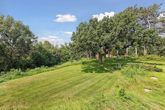 4301 Overlook Dr, Bloomington, MN 55437 - view of grassy yard