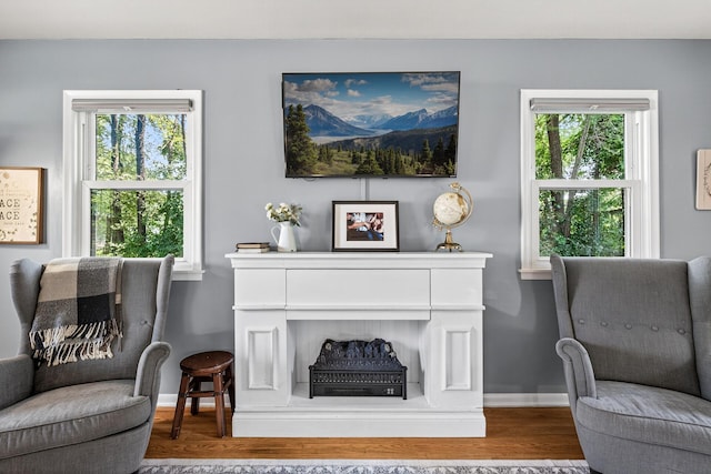 4309 78th Ave N, Brooklyn Park, MN 55443 - living room featuring wood finished floors and plenty of natural light