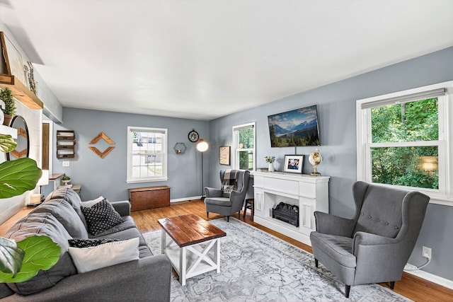 4309 78th Ave N, Brooklyn Park, MN 55443 - living room featuring light wood-style floors and a fireplace