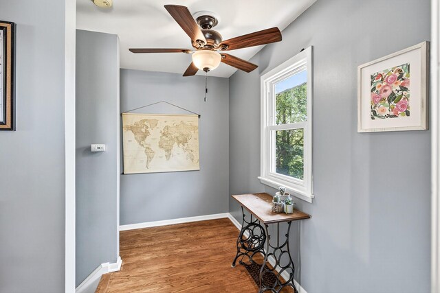 4309 78th Ave N, Brooklyn Park, MN 55443 - corridor with wood finished floors and baseboards