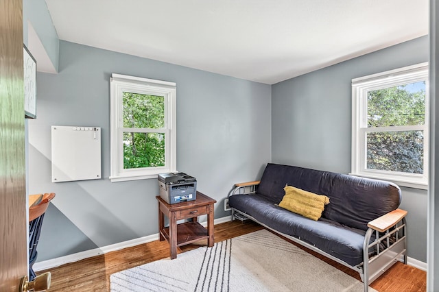 4309 78th Ave N, Brooklyn Park, MN 55443 - living area with healthy amount of natural light and wood finished floors