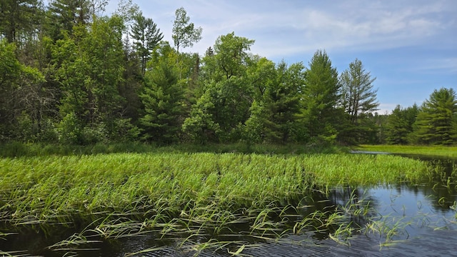 TBD40 Rollick Crk, Crane Lake, MN 55725 - photo 1