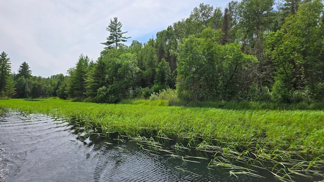 TBD40 Rollick Crk, Crane Lake, MN 55725 - photo 2