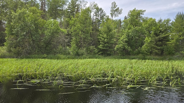 TBD40 Rollick Crk, Crane Lake, MN 55725 - photo 4