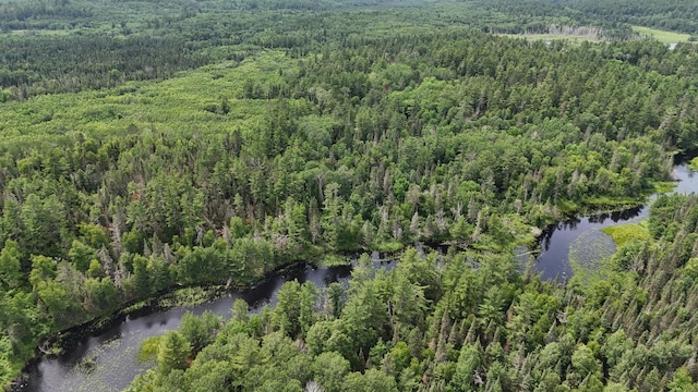 TBD40 Rollick Crk, Crane Lake, MN 55725 - photo 5