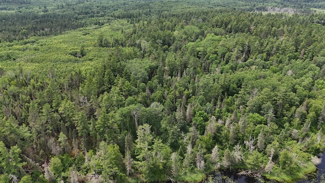 TBD40 Rollick Crk, Crane Lake, MN 55725 - photo 10