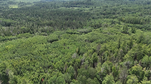 TBD40 Rollick Crk, Crane Lake, MN 55725 - photo 12