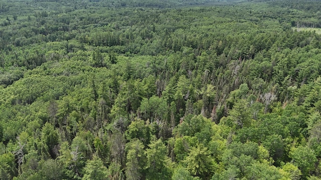 TBD40 Rollick Crk, Crane Lake, MN 55725 - photo 13