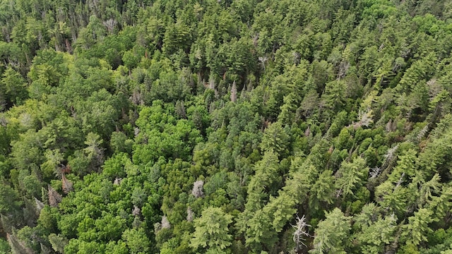 TBD40 Rollick Crk, Crane Lake, MN 55725 - photo 14