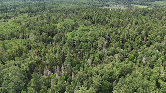 TBD40 Rollick Crk, Crane Lake, MN 55725 - photo 15