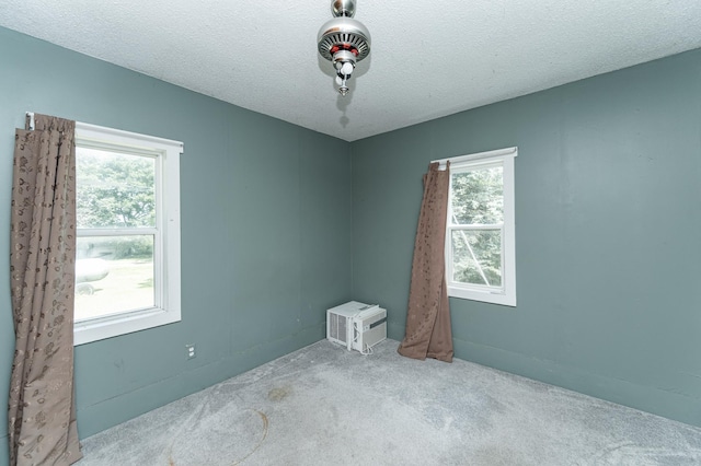 57042 160th Ave, Concord Twp, MN 55985 - photo 13