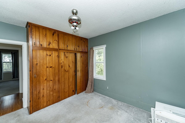 57042 160th Ave, Concord Twp, MN 55985 - photo 14