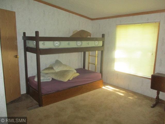 32546 360th St, Kimberly Twp, MN 56431 - bedroom with carpet floors and crown molding