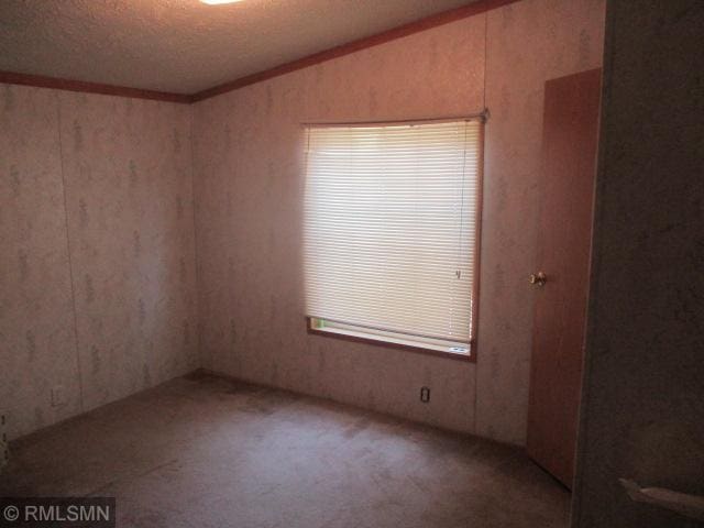 32546 360th St, Kimberly Twp, MN 56431 - empty room with lofted ceiling, a textured ceiling, and carpet flooring