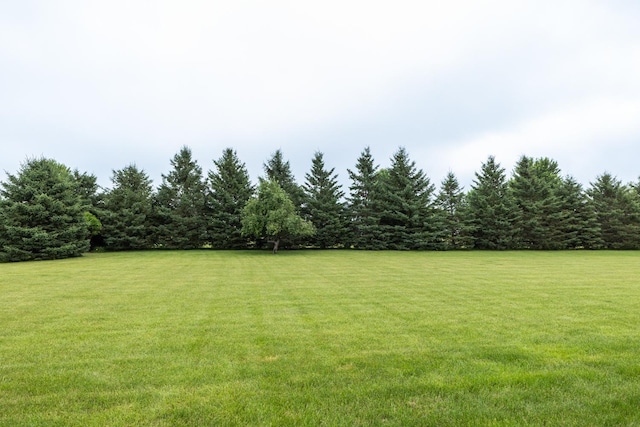 1902 11th Ave NE, Kasson, MN 55944 - view of grassy yard with a forest view