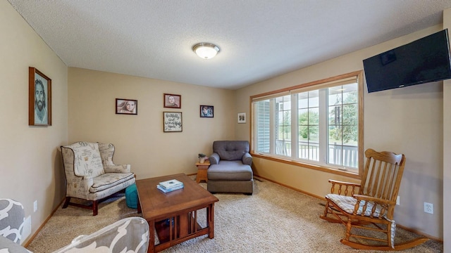 1902 11th Ave NE, Kasson, MN 55944 - living area featuring carpet floors and a textured ceiling
