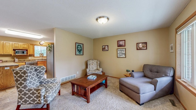 1902 11th Ave NE, Kasson, MN 55944 - living room featuring baseboards