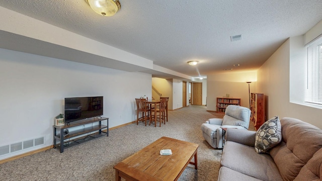 1902 11th Ave NE, Kasson, MN 55944 - living room featuring carpet and a textured ceiling