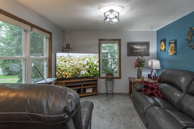502 G St NE, Brainerd, MN 56401 - photo 8