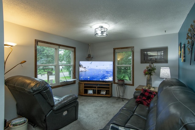 502 G St NE, Brainerd, MN 56401 - photo 9
