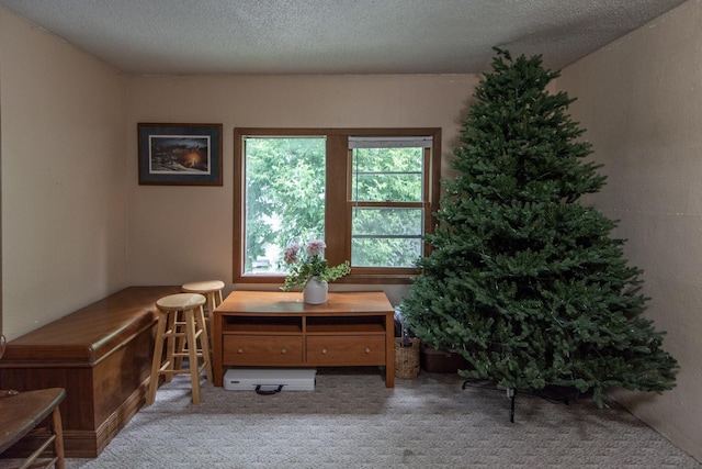 502 G St NE, Brainerd, MN 56401 - photo 27