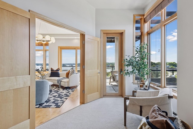 4201 Sunset Dr Unit N501, Spring Park, MN 55384 - photo 10
