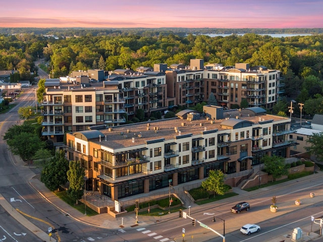 4201 Sunset Dr Unit N501, Spring Park, MN 55384 - photo 65