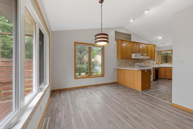 5077 Dudley Lake Path, Faribault, MN 55021 - photo 15