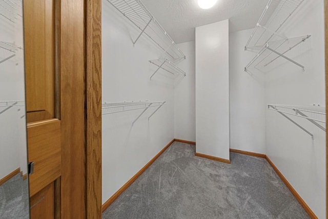 5077 Dudley Lake Path, Faribault, MN 55021 - photo 28