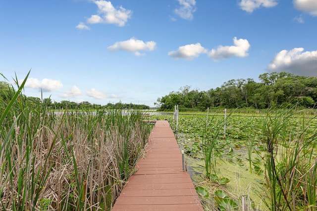 5077 Dudley Lake Path, Faribault, MN 55021 - photo 48